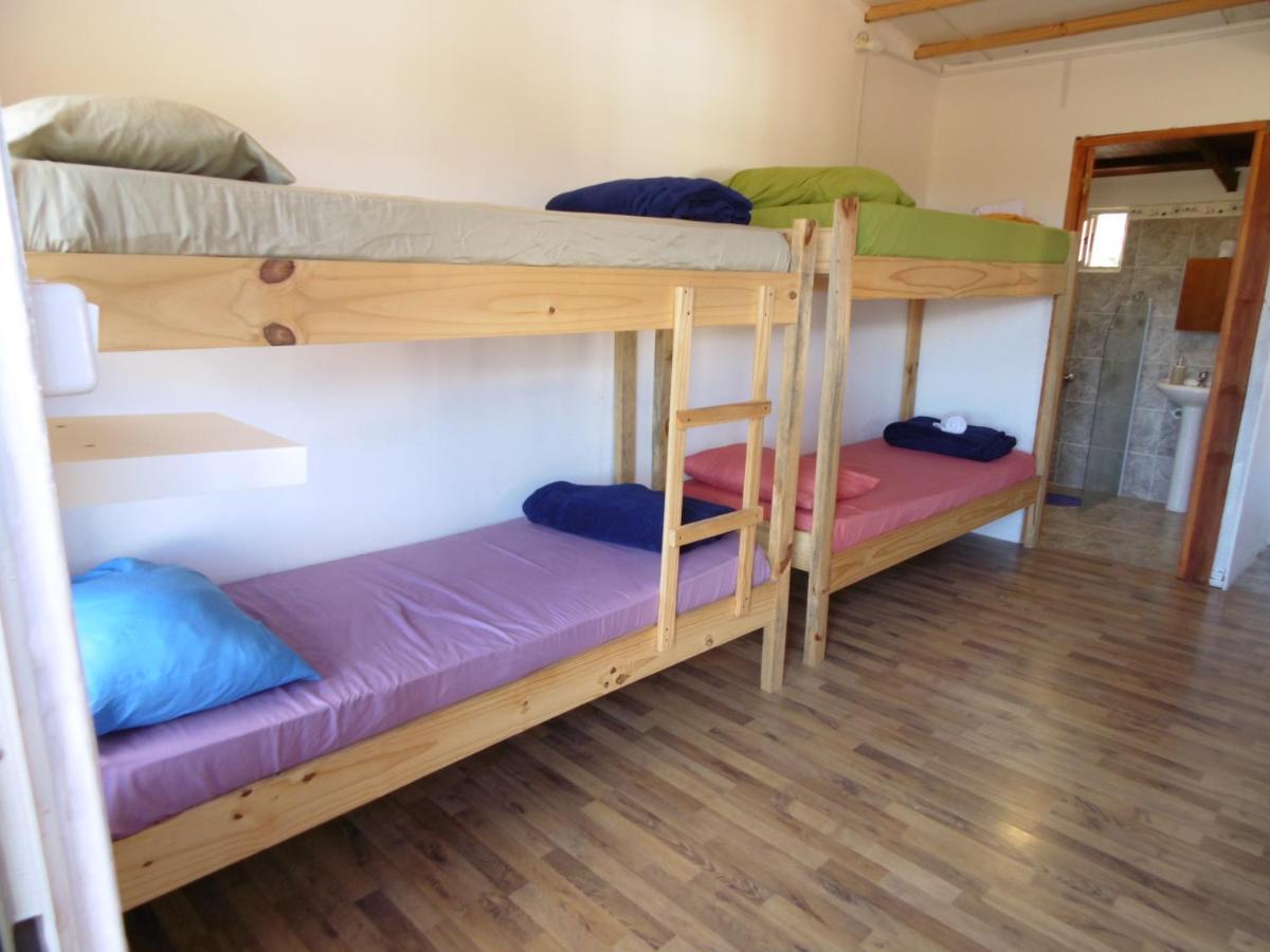 Posada Hostel La Piedra Mistica La Pedrera Zewnętrze zdjęcie